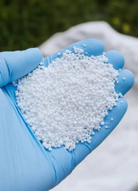 Hand holding urea granules